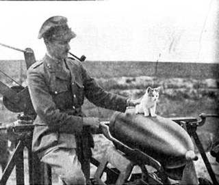 Illustration for article titled These Are the Brave and Fluffy Cats Who Served in World War I